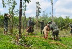 Cán bộ, chiến sĩ Đồn Biên phòng Đắk Quýt giúp dân dựng nọc tiêu gãy đổ.