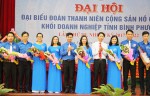 Ban Chấp hành khóa mới, nhiệm kỳ 2017-2022 ra mắt đại hội