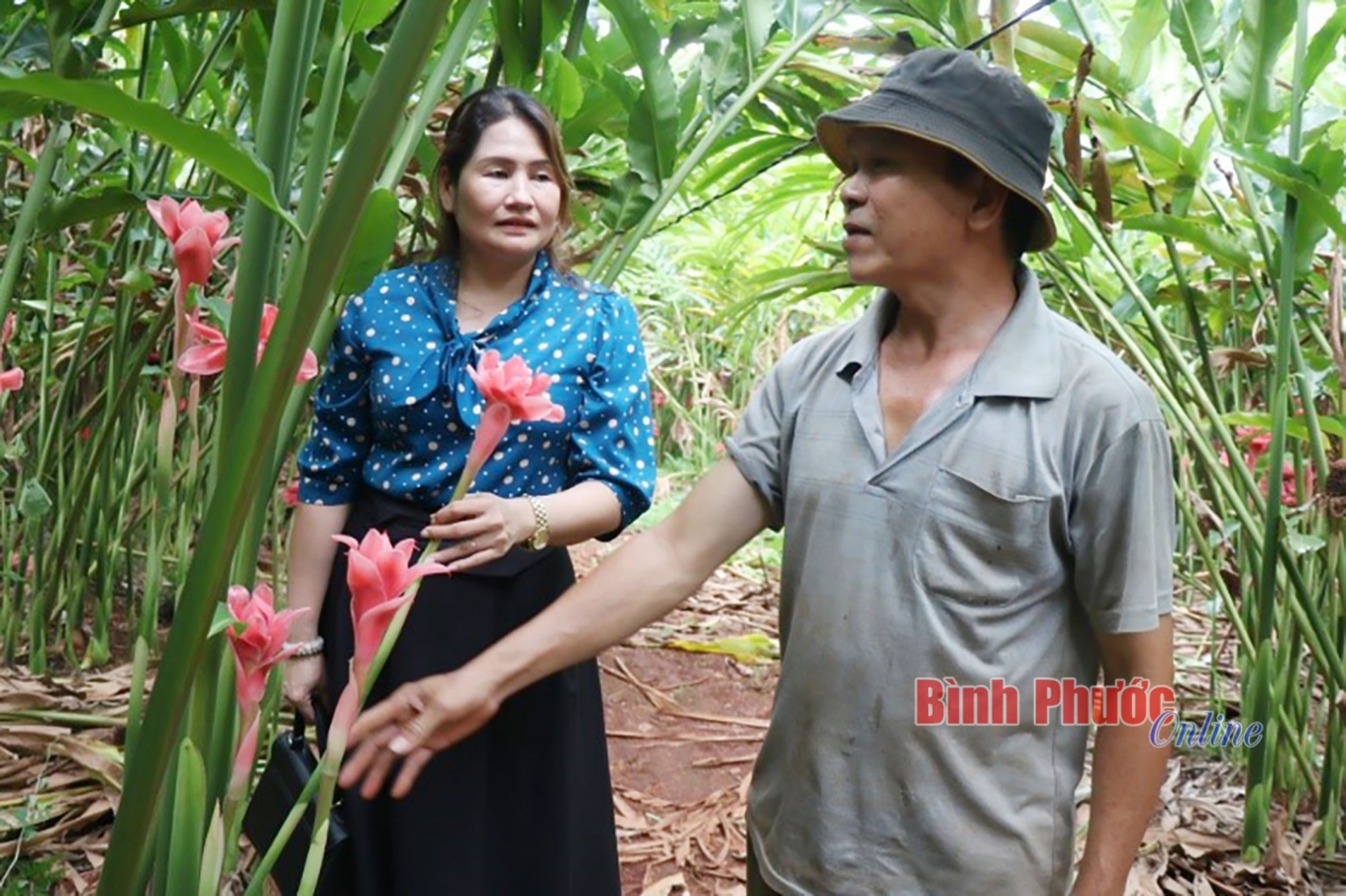 Lê Thị Phương Dung: Học tập và làm theo tư tưởng, đạo đức, phong cách Hồ Chí Minh
