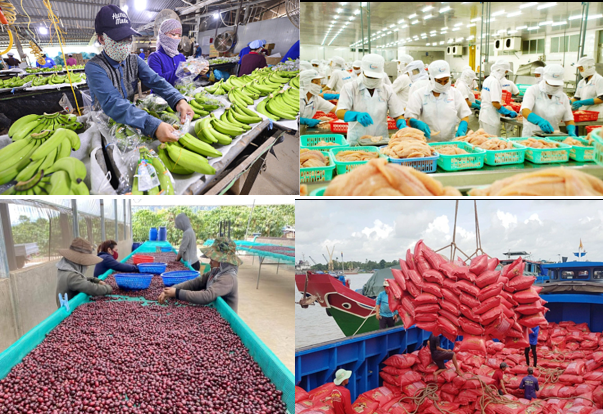 Ngành Nông nghiệp nỗ lực chuyển mình trong kỷ nguyên phát triển mới của Dân tộc